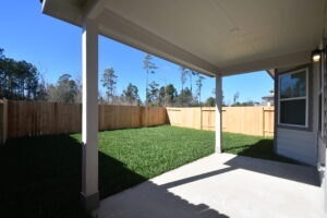Backyard 3