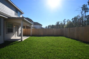 Backyard 5